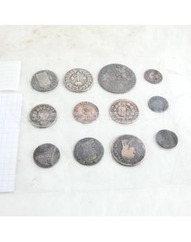 12 Royal Coins