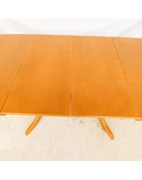 KUHT HOFICH Modern Oval Table 2 Allonges