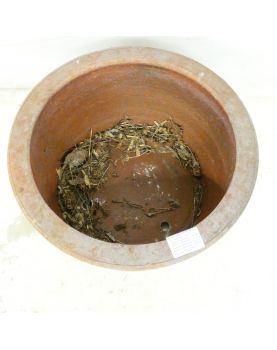 Cache Pot in earth Thai