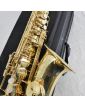 Saxophone ALTO ROY BENSON dans son Étui