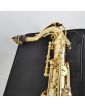 Saxophone ALTO ROY BENSON dans son Étui