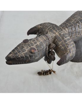 Cimier Crocodile Baoule