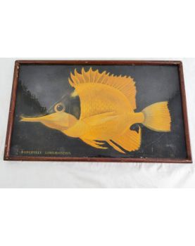 Lacquered Painting Frame Exotic Fish Decor