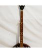 American Banjo CORT REMO with its Case and Accessories