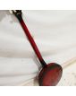 American Banjo CORT REMO with its Case and Accessories