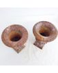 Paire de Petits Vases Médicis en Fonte