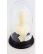 Marie Antoinette Candle Cire Trudon