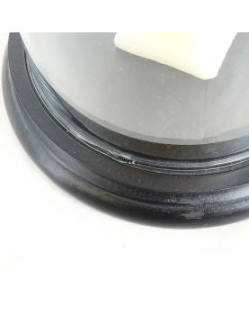 Marie Antoinette Candle Cire Trudon