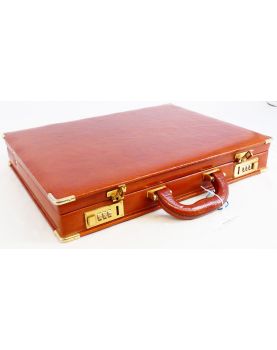 SALAMANDER Brown Leather Case