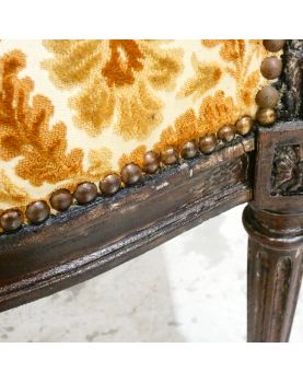 Louis XVI Wooden Armchair in Mustard Color