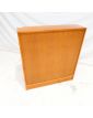 Scandinavian Style 2-Door Cylinder Cabinet with Key