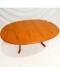 GPLAN Table Ovale avec 1 Allonge Papillon