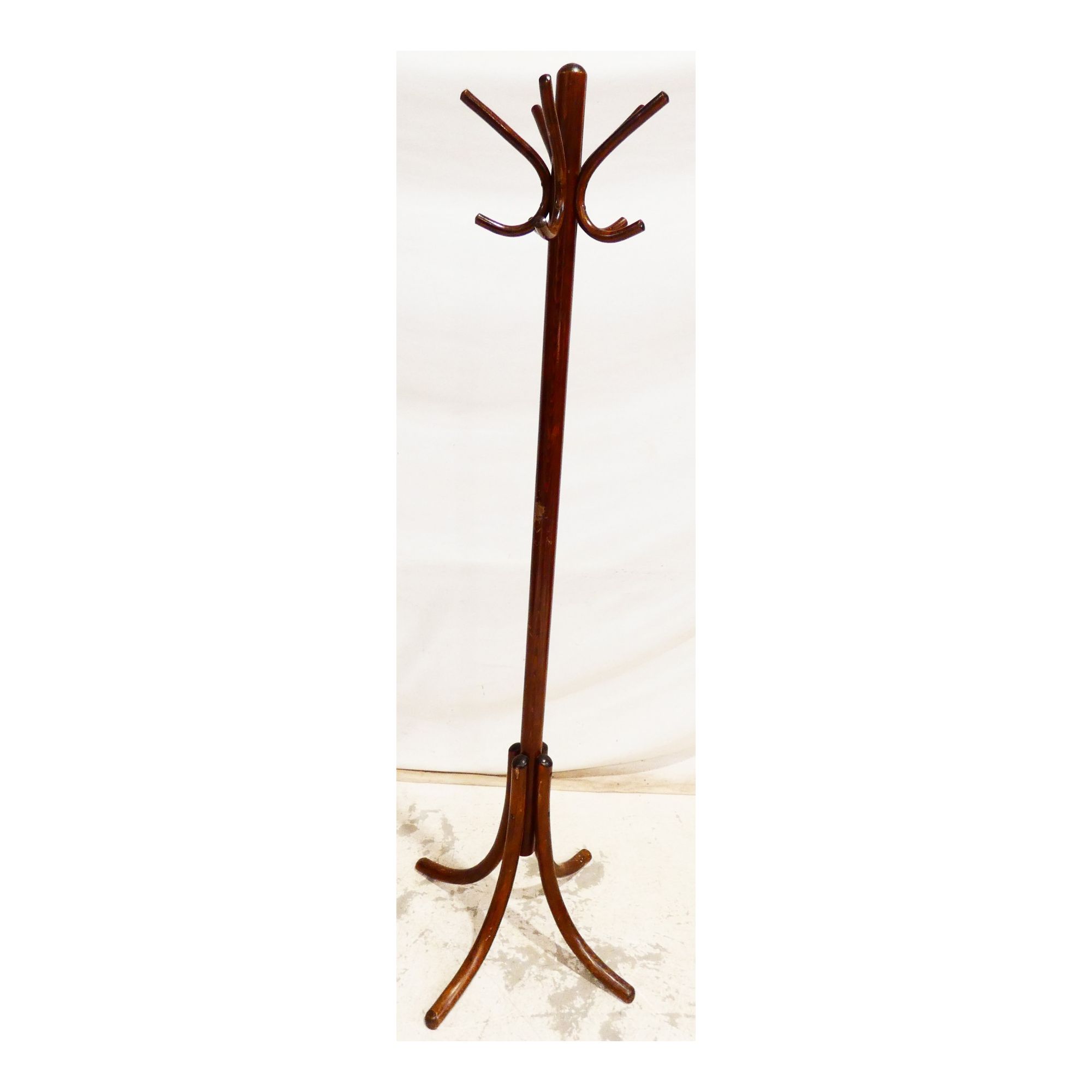 Perroquet dans le Goût de THONET Perroquet dans le Goût de THONET