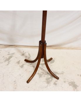 Parrot in the Taste of THONET