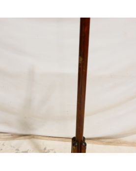 Perroquet dans le Goût de THONET