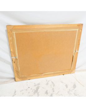 Large Mirror Rectangular Biseauty Modern Frame Golden Murre