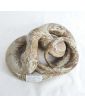 Serpent en Céramique Emaillé Beige 7 kilos