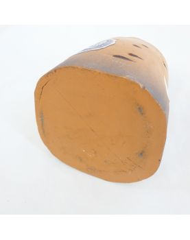 Boite à Biscuit Champagne en Forme de Champignon
