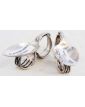Spoon-Shaped Salt Shaker Set