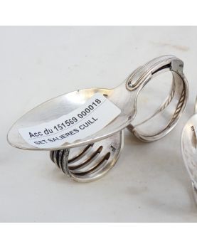 Spoon-Shaped Salt Shaker Set