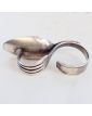 Spoon-Shaped Salt Shaker Set