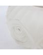 Frosted Glass Vase