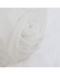 Frosted Glass Vase