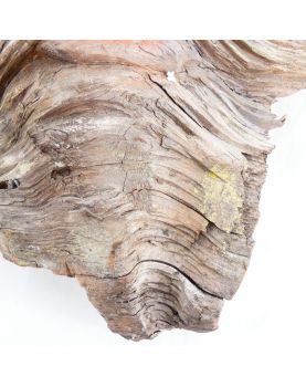 Profil d’Homme en Bois Sculpté