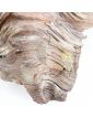 Profil d’Homme en Bois Sculpté