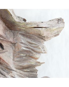 Profil d’Homme en Bois Sculpté