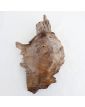 Profil d’Homme en Bois Sculpté