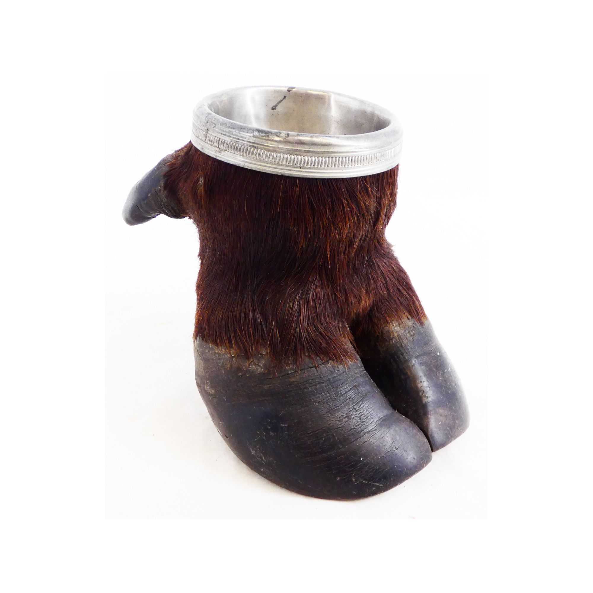 Buffalo Foot Ashtray Buffalo Foot Ashtray