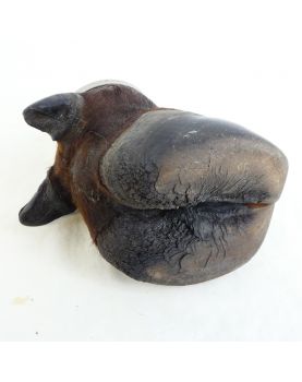 Buffalo Foot Ashtray