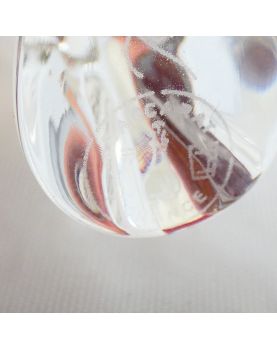 Papillon BACCARAT dans son Étui