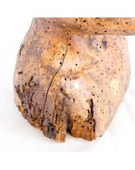 17th Century Wooden Bust of a Man