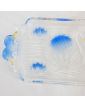 Swan Decor Glass Cake Dish