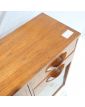 AVALON Small Cabinet with 1 Drop-Leaf Door and 2 Sliding Doors