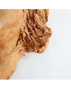 Moulage Tête de Femme Signature à Identifier