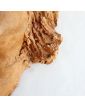 Moulage Tête de Femme Signature à Identifier