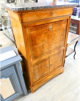 Secretary 1 Drawer 1 Flap 2 Doors 19th Century Elm Burl