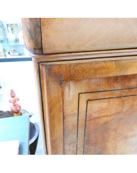 Secretary 1 Drawer 1 Flap 2 Doors 19th Century Elm Burl