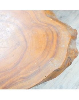 Trunk Coffee Table