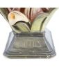 Polychrome Plaster Bust LOTUS Art Nouveau Signed J.P ROUGNEAUX