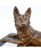 Bronze Dog CHIPARUS on Marble Base