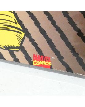 Cadre BD Univers Marvel