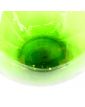 Grande Dame Jeanne en Verre Vert