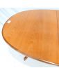GPLAN Table Ovale Allonge Papillon