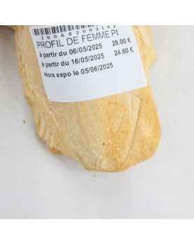 Profil de Femme en Pierre