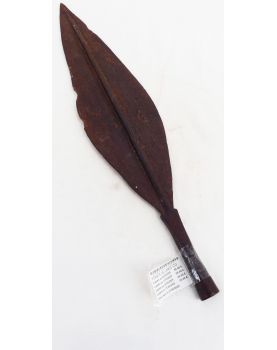 Congo Spearhead