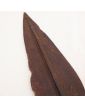 Congo Spearhead